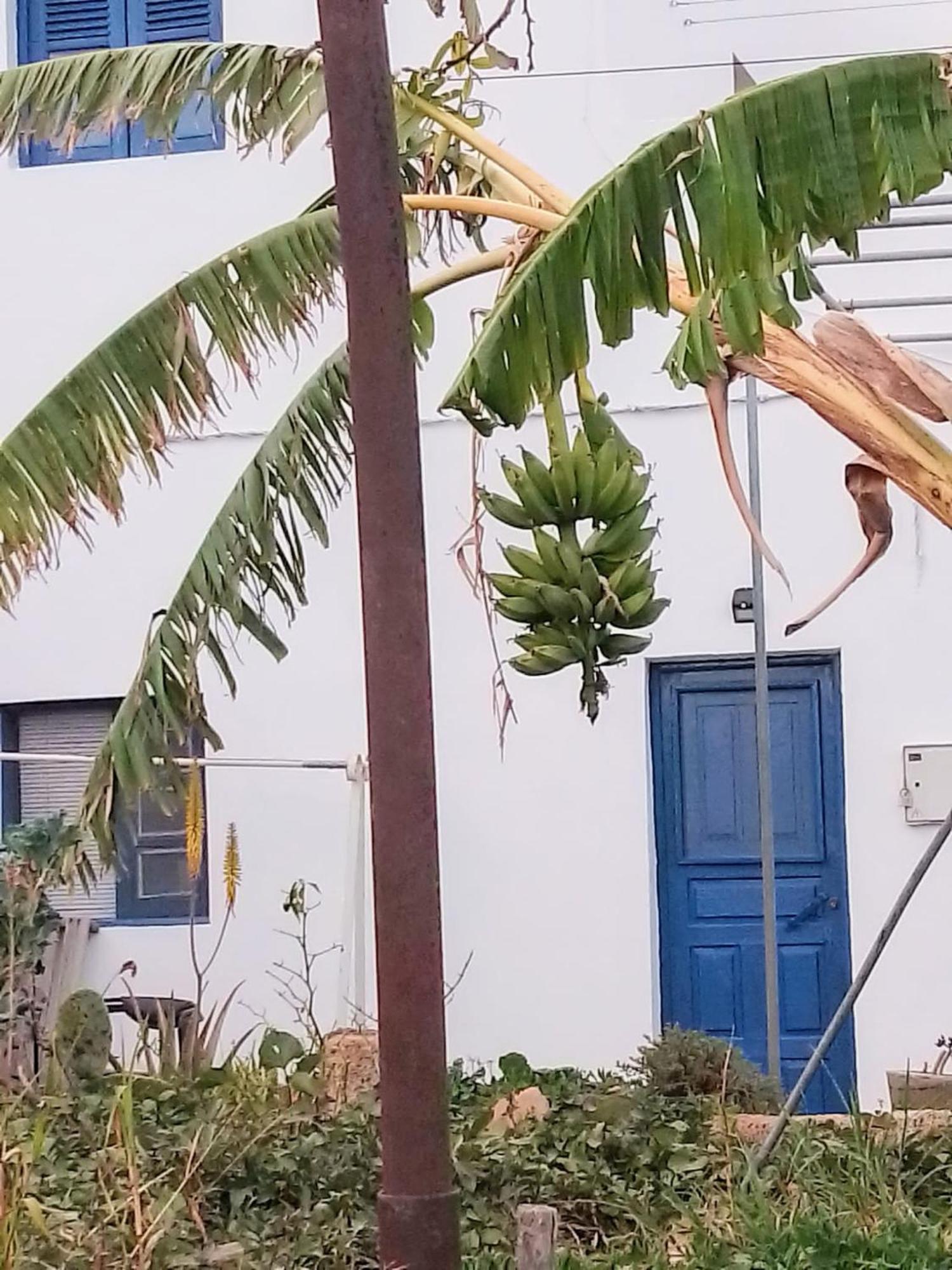 Casa Rural Mary San Miguel de Abona Kültér fotó